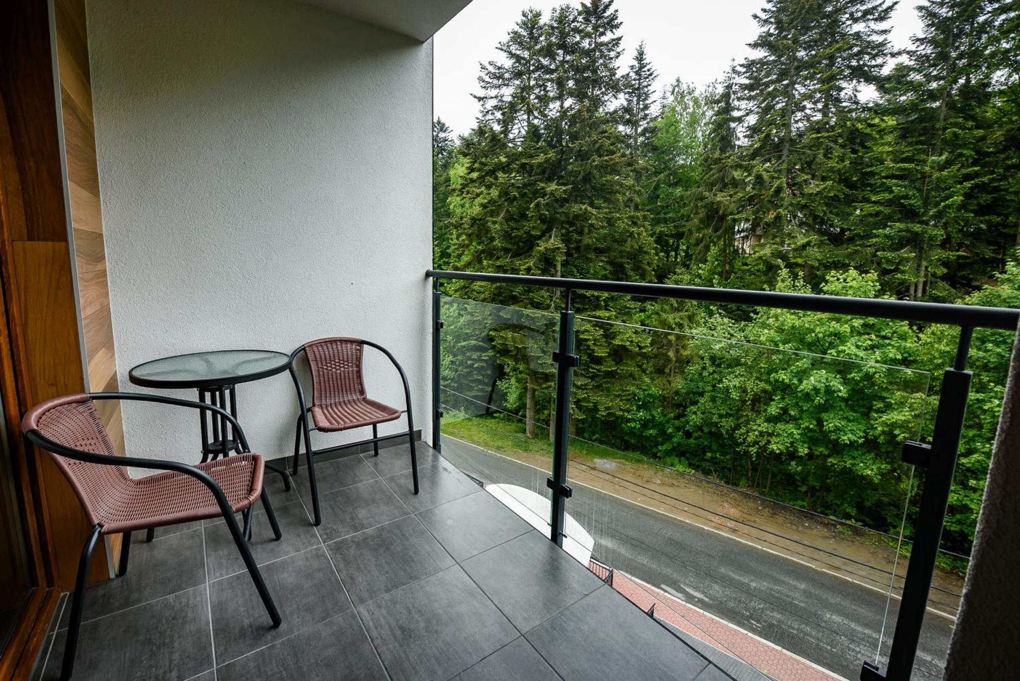 Apartamenty Sun & Snow Zielona Krynica Zdroj Værelse billede