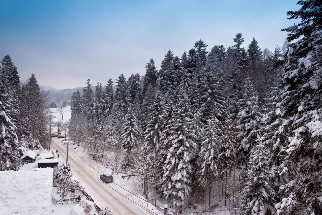 Apartamenty Sun & Snow Zielona Krynica Zdroj Eksteriør billede